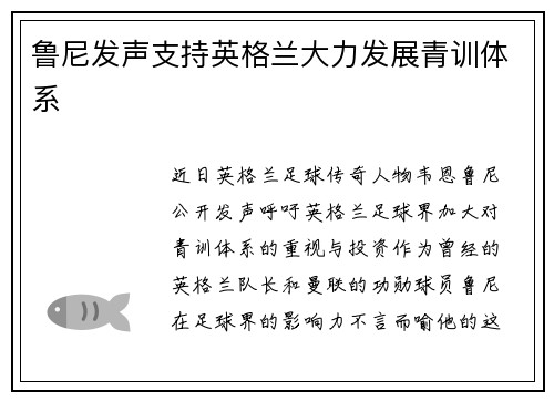 鲁尼发声支持英格兰大力发展青训体系