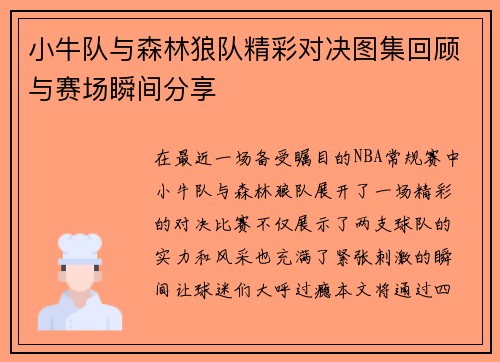 小牛队与森林狼队精彩对决图集回顾与赛场瞬间分享